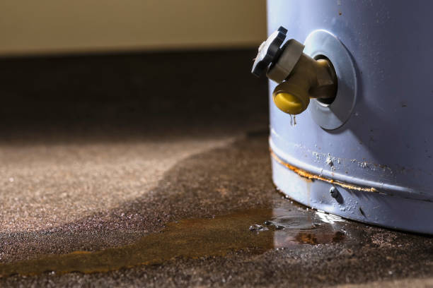  Frankfort, OH Water damage restoration Pros