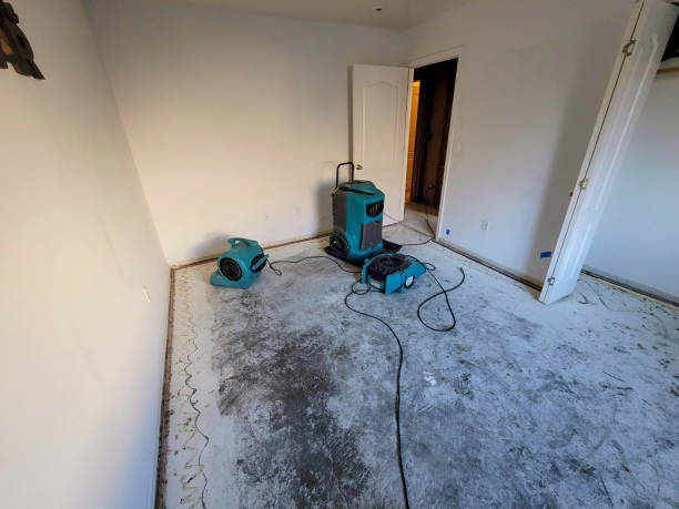 Best Carpet water damage restoration  in Frankfort, OH