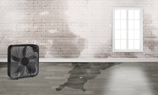 Best Emergency water damage restoration  in Frankfort, OH