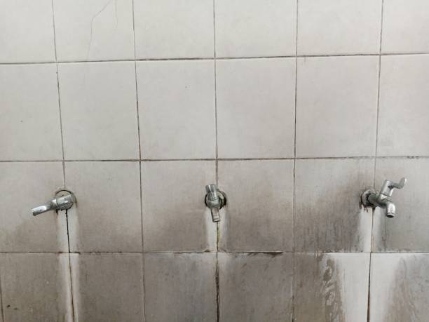 Best 24/7 water damage repair  in Frankfort, OH
