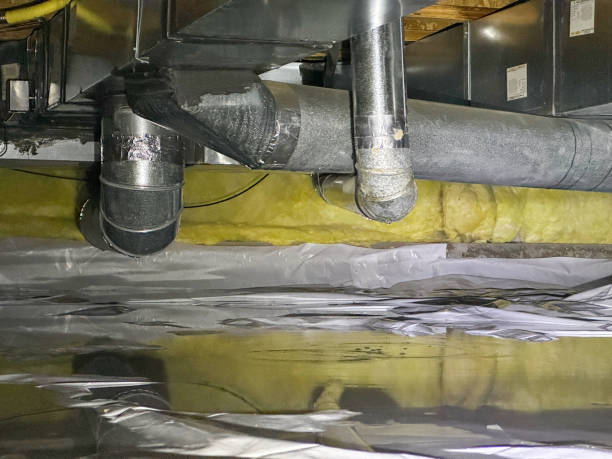 Best Flood damage cleanup  in Frankfort, OH