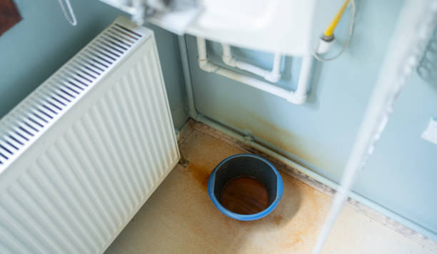 Best Local water damage restoration  in Frankfort, OH