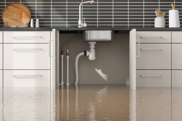 Best Water damage restoration near me  in Frankfort, OH