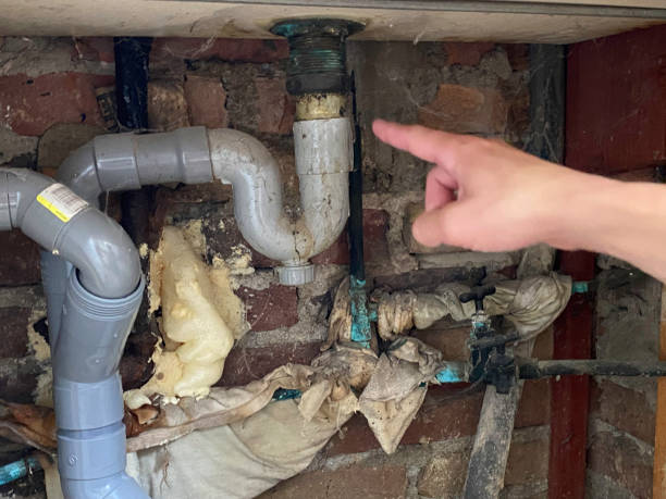 Best Ceiling water damage repair  in Frankfort, OH